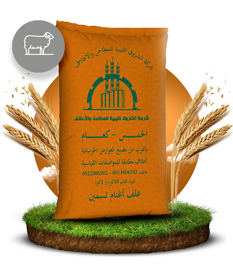 علف تسمين الأغنام مجروش (مدشش)